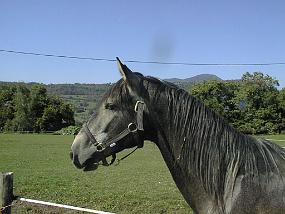 pic00010