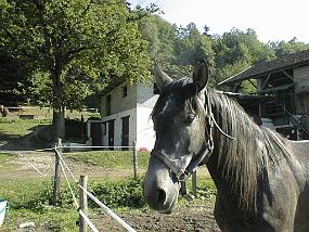 pic00012