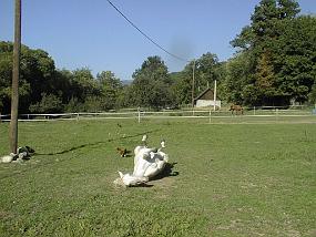 pic00016