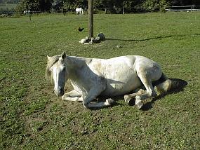 pic00017