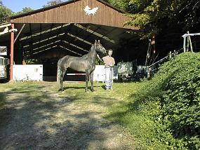 pic00028