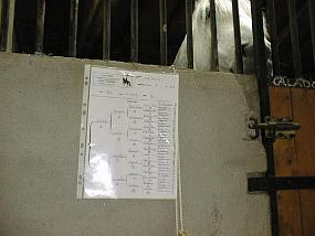 pic00012