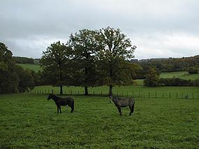 pic00015