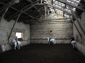 pic00022