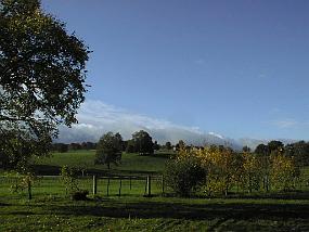 pic00003
