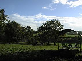 pic00009
