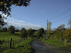 pic00011