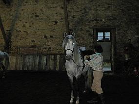 pic00020