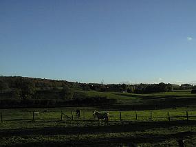 pic00006