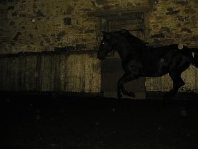 pic00014