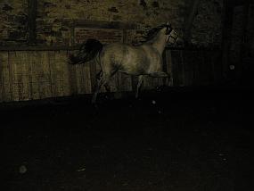 pic00023