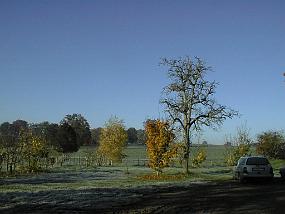 pic00027
