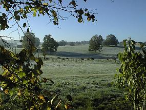 pic00028