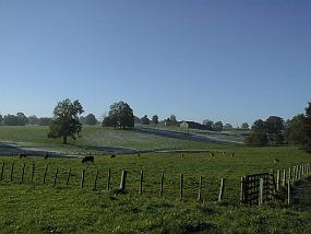 pic00033