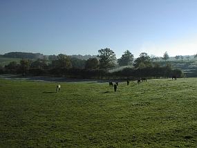 pic00040