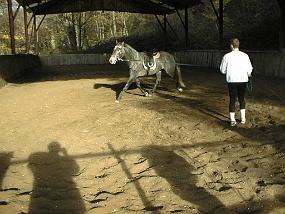 pic00008
