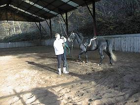 pic00009