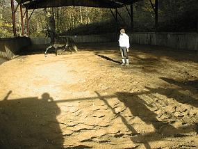 pic00013