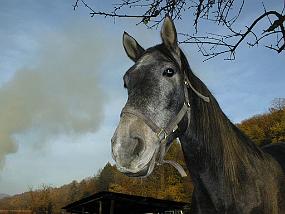 pic00030