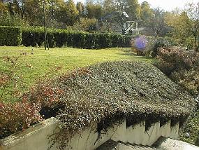 pic00001