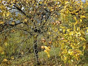 pic00015