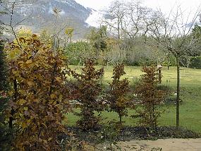 pic00019