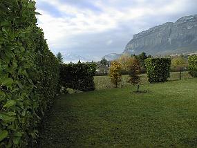 pic00028
