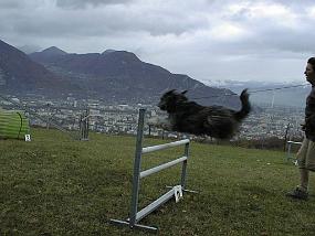 pic00008