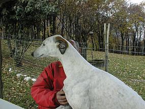 pic00014