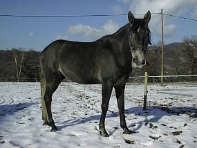 pic00003