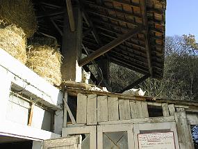 pic00024
