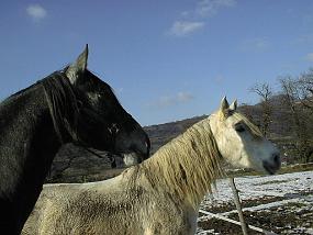 pic00034