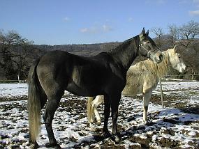 pic00035