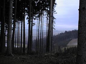 pic00003