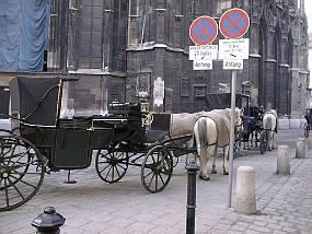 pic00002