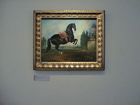 pic00010