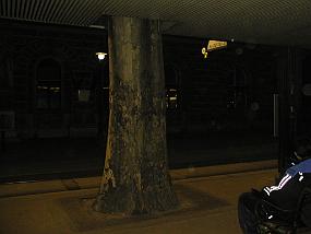 pic00021