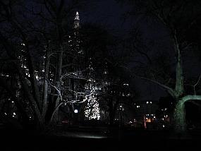 pic00023