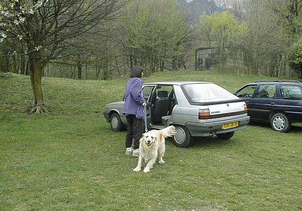 Agility Training (Sunday, 05. April 1998) Gini beim Agility Training und Danae auf der Weide