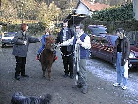 pic00005