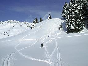 pic00008
