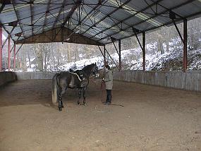 pic00008