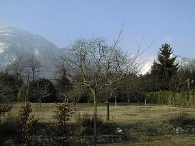 pic00010