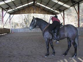 pic00024