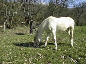 pic00035