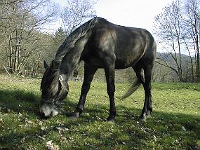 pic00039