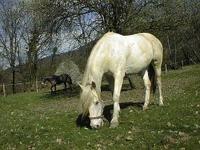 pic00041