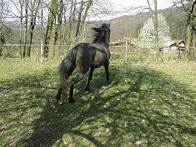 pic00046