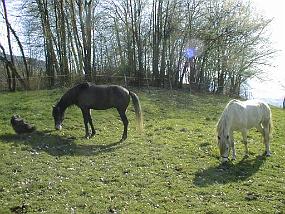 pic00055