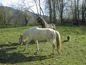 pic00056